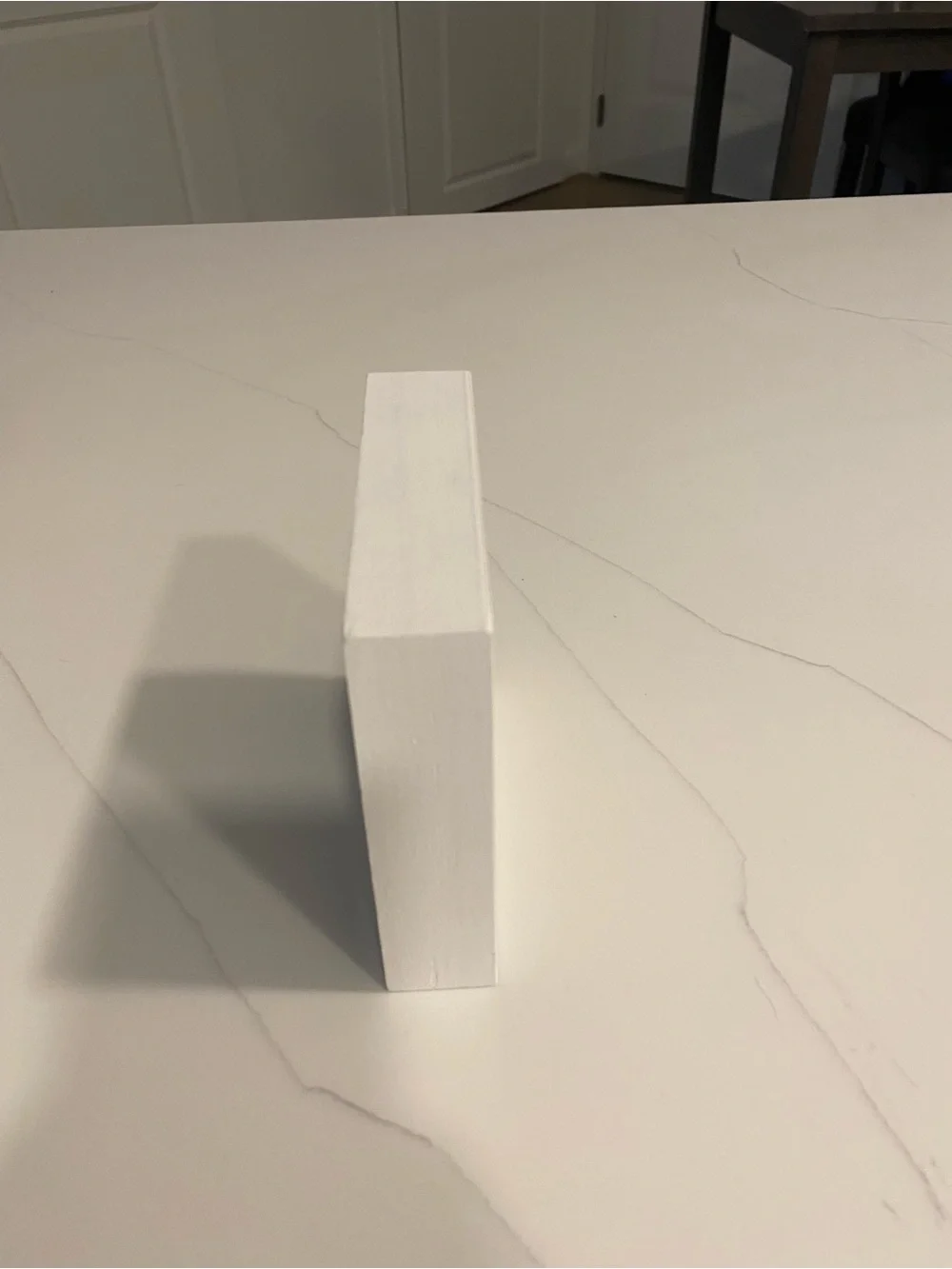 Dangerously Overeducated Decorative Block - White with Black Print